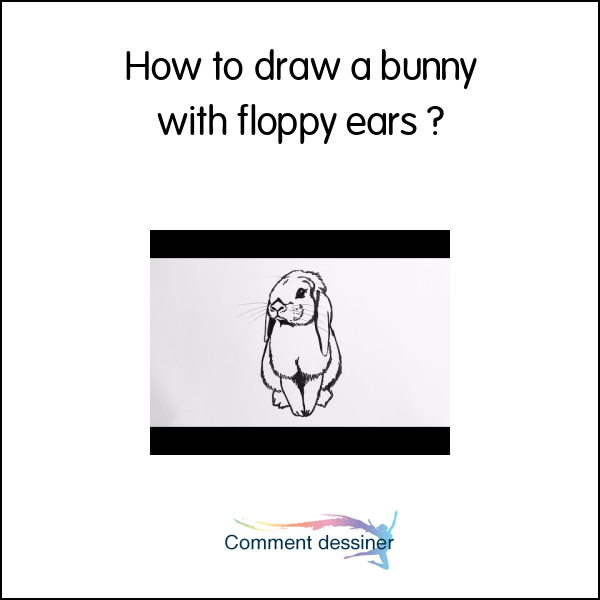 How to draw a bunny with floppy ears How to draw